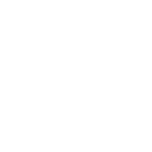 Lion Distribution